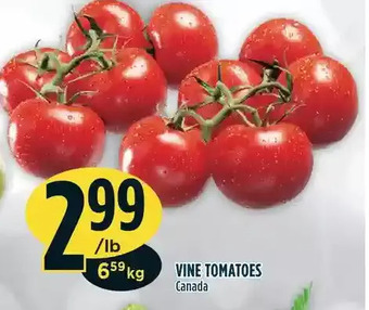 Marché Adonis Vine tomatoes offer