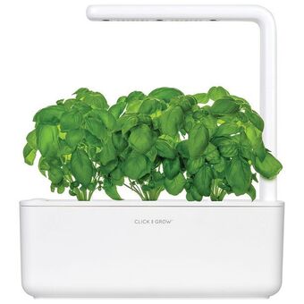 Best Buy Click and grow smart indoor garden (sgs1us) with basil seed capsule refill - 3 pack - white offer