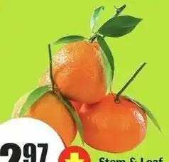 FreshCo Stem & Leaf Clementine Product of Spain 6.55/kg offer