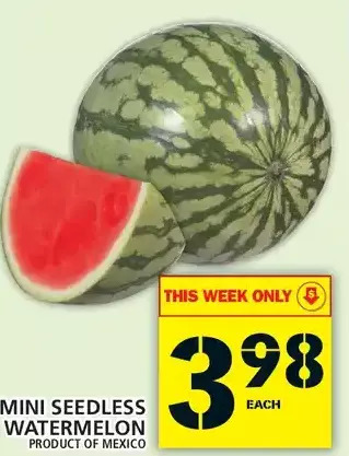 Food Basics Mini seedless watermelon offer