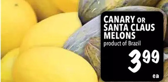 Farm Boy Canary or santa claus melons offer