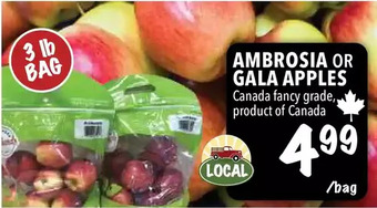 Farm Boy Ambrosia or gala apples offer