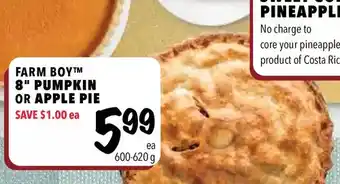 Farm Boy Farm boy 8" pumpkin or apple pie offer