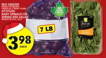 Food Basics Red onions | attitude baby spinach or spring mix salad offer