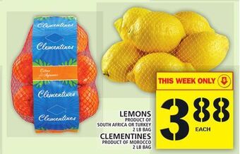Food Basics Lemons offer