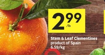 Foodland Stem & leaf clementines product of spain offer