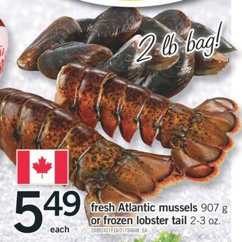 Fortinos Fresh atlantic mussels, 907 g or frozen lobster tail, 2-3 oz. offer