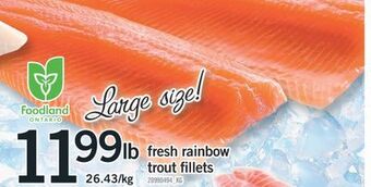 Fortinos Fresh rainbow trout fillets offer