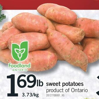 Fortinos Sweet potatoes offer