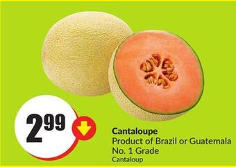 Chalo FreshCo Cantaloupe product of brazil or guatemala no. 1 grade offer
