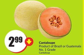 FreshCo Cantaloupe product of brazil or guatemala no. 1 grade offer