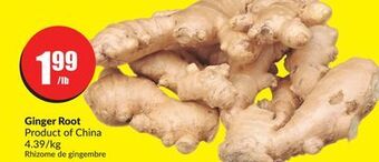 FreshCo Ginger root product of china 4.39/kg offer