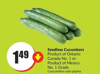 FreshCo Seedless cucumbers offer