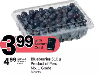 FreshCo Blueberries offer