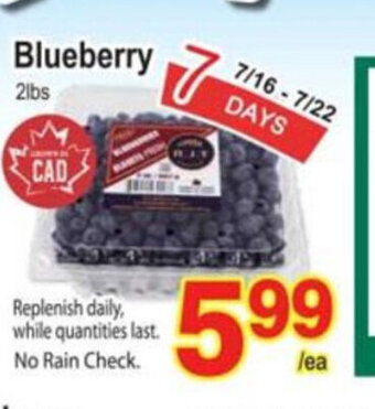 T&T Supermarket Blueberry offer