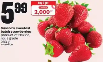 Loblaws Driscoll's sweetest batch strawberries offer