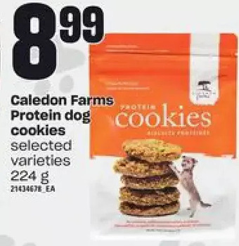 Loblaws Caledon farms protein dog cookies offer