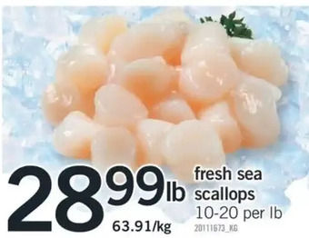 Fortinos Fresh sea scallops offer