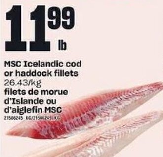 Independent Grocer MSC Icelandic Cod or Haddock Fillets offer