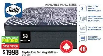 Cayden euro top king mattress