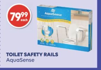 Wellwise by Shoppers Aquasense toilet safety rails offer