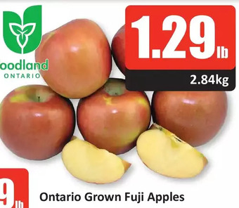 Starsky Ontario grown fuji apples offer