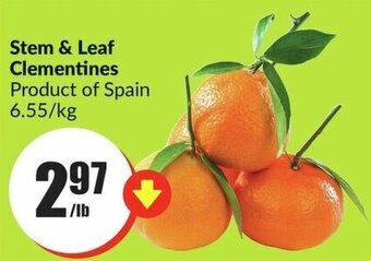 FreshCo Stem & Leaf Clementines Product of Spain 6.55/kg offer