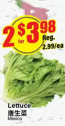 Btrust Supermarket Lettuce offer