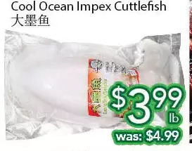 Ample Food Market Cool ocean impex cuttlefish offer