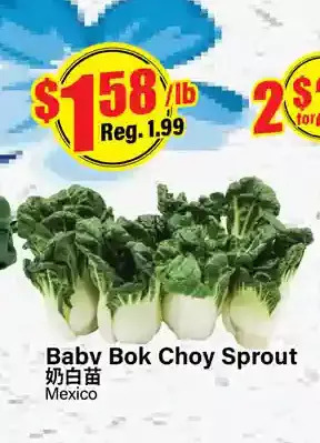 Btrust Supermarket Baby bok choy sprout offer