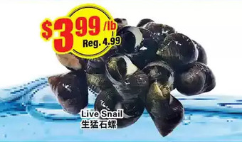 Btrust Supermarket Live snail offer