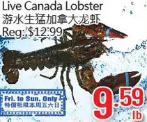 Hong Tai Supermarket Live canada lobster offer