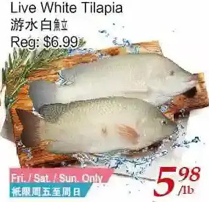 Tone Tai Supermarket Live white tilapia offer