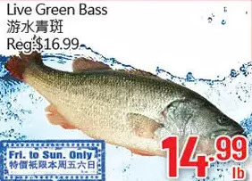 Hong Tai Supermarket Live green bass offer