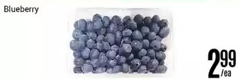Nations Fresh Foods Blueberry offer