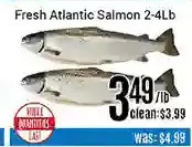 Nations Fresh Foods Fresh atlantic salmon offer