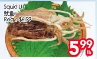 Superking Supermarket Squid u1 offer
