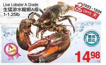 T&T Supermarket Live lobster a grade offer