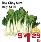Top Food Supermarket Bok choy sum offer