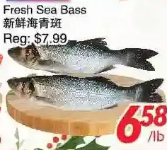 Foody World Fresh sea bass offer