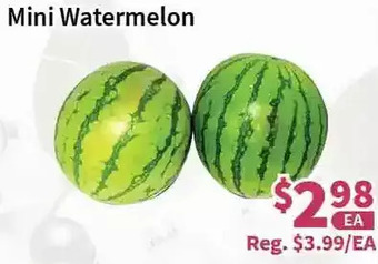 Blue Sky Supermarket Mini watermelon offer