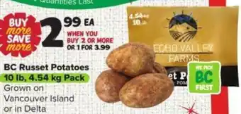 BC Russet Potatoes