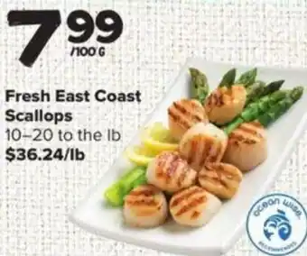 Thrifty Foods Fresh East Coast Scallops 100 g offer