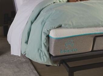 Sleep Country Bloom 2.0 air mattress-in-a-box offer
