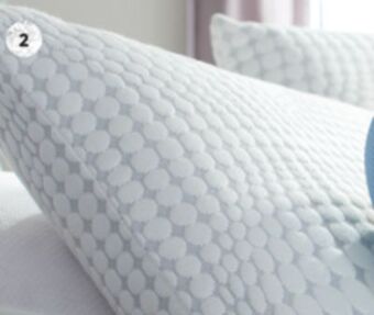Sleep Country Bio-soy pillow offer