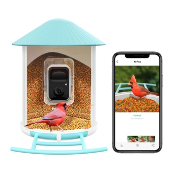 Best Buy Netvue birdfy - outdoor bird feeder camera, ai bird species recognition, battery powered wifi camera, automatic image/video c offer