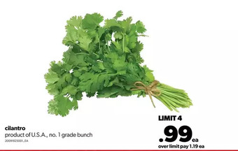 Real Canadian Superstore Cilantro offer