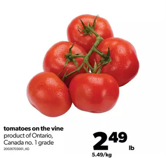 Real Canadian Superstore Tomatoes on the vine offer