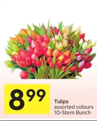 Foodland Tulips assorted colours 10-stem bunch offer