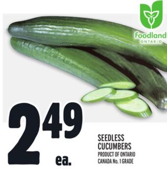 Metro Seedless cucumbers offer